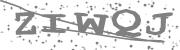 Type the letters in the image or Type the first letter of the words spoken in the audio.