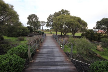 Auckland Bridge