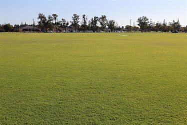Canning Vale Oval