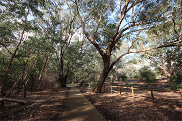 Centennial Pioneer Park1