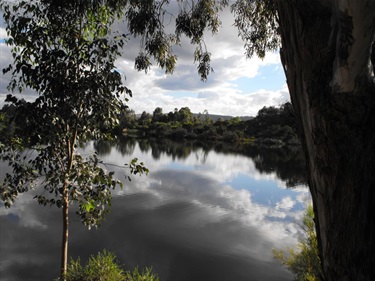 Mary Carroll Park early morning reflection