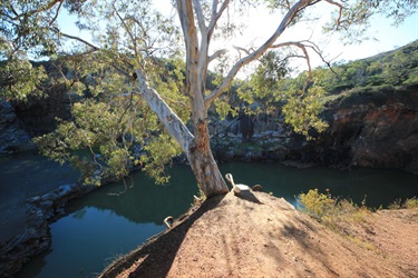 Ellis Brook quarryTop view