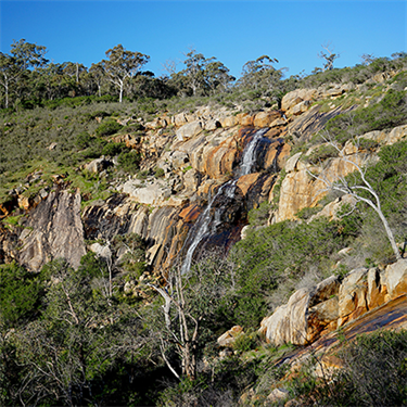 Ellis Brook Valley Falls