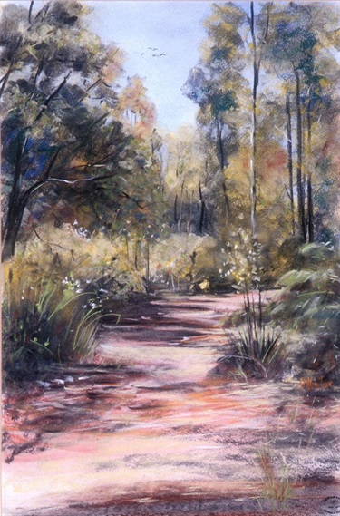 Ellis Brook Valley
