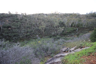 Ellis Brook1