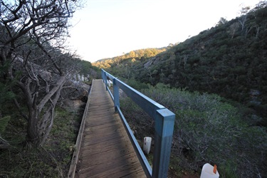 Ellis Brook2