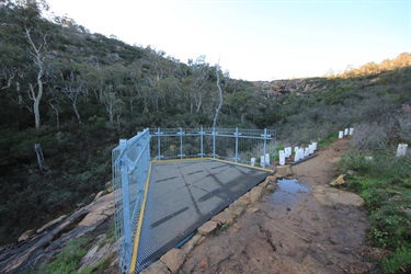 Ellis Brook3