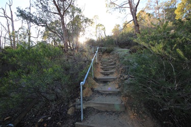 Ellis Brook6