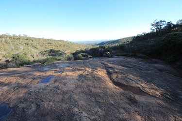 Ellis Brook7