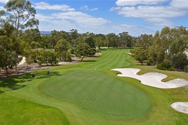 Looking over greens with fairway in background and trees either side