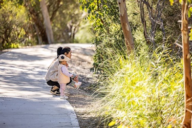 Mary-Carroll-Park-pathway.jpg