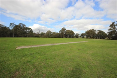 Hester Park cricket