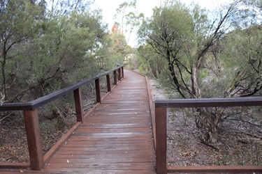 Nolan Avenue Reserve2