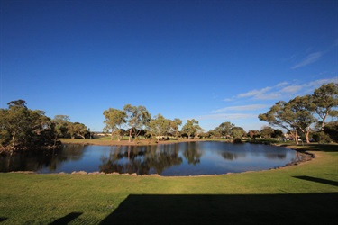 Forest Crescent Reserve1
