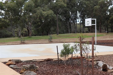 Homestead Park basketball