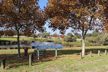 Kurrajong Drive Reserve