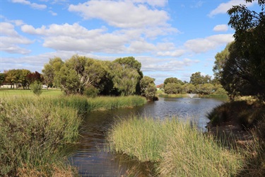 Kurrajong Drive Reserve1