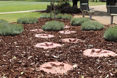 Walter Padbury dinosaur footprints