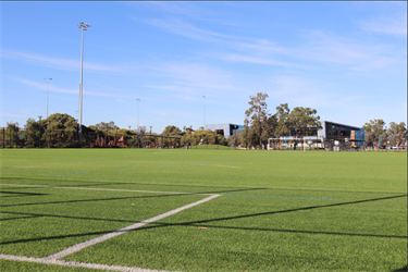 Mills Park