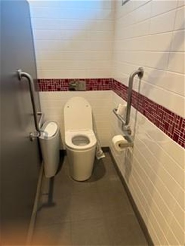 Ambulant toilet