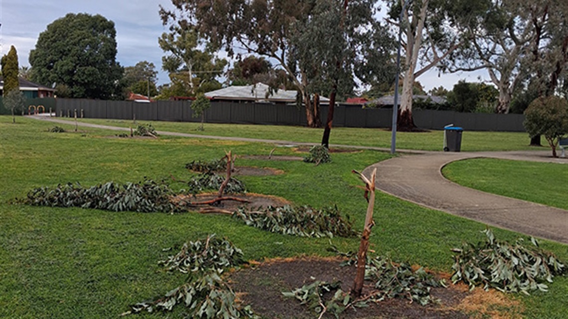 Gaskin Park Vandalism.jpg