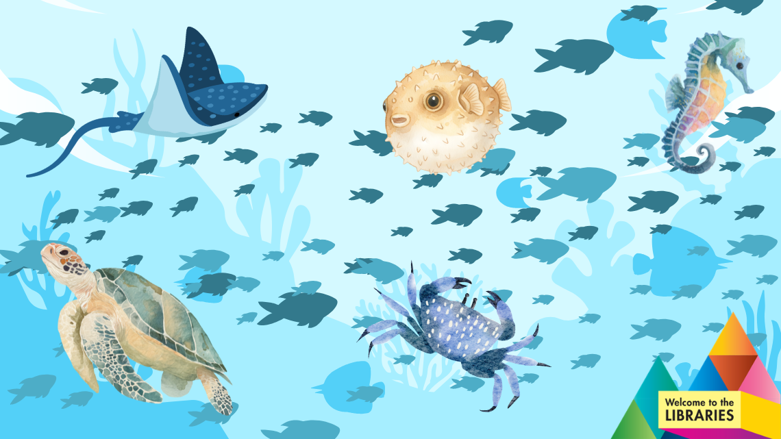 Ocean Discovery2.png