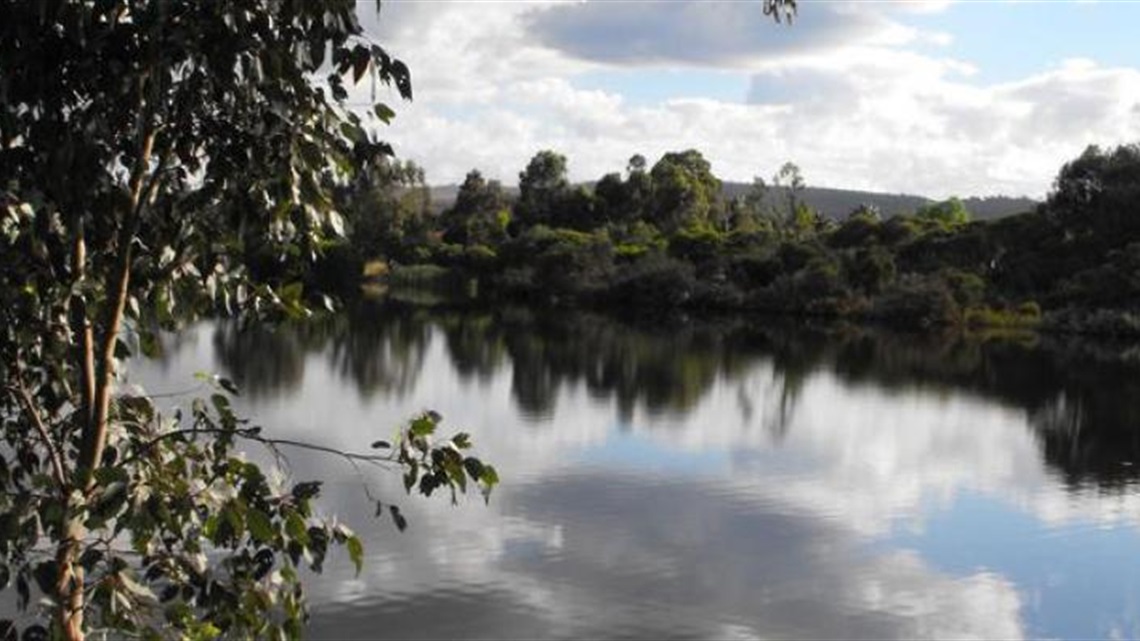 Mary_Carroll_Park_early_morning_reflection.jpg
