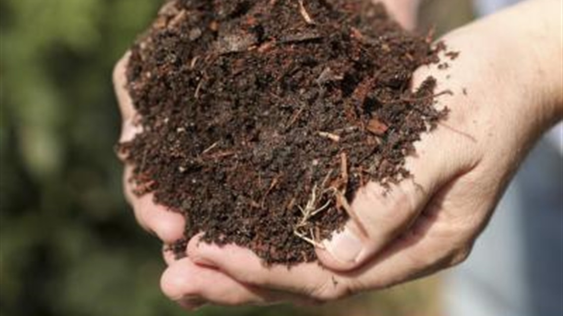 Compost_soil.jpg