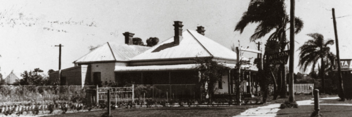 An old black and white image of the Wilson and Johns Nursery 