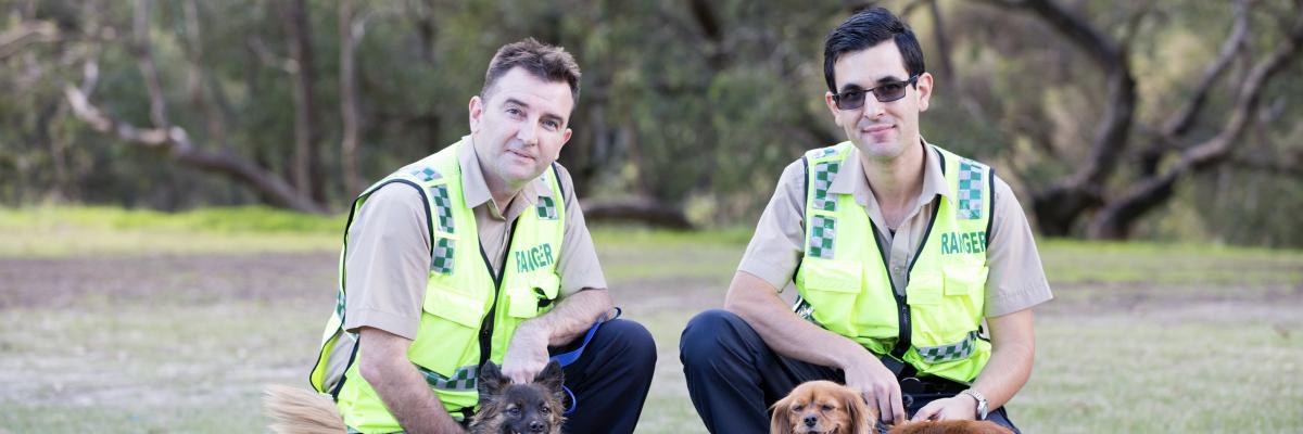 Pet registrations help the City’s Rangers to reunite lost pets with their owners faster