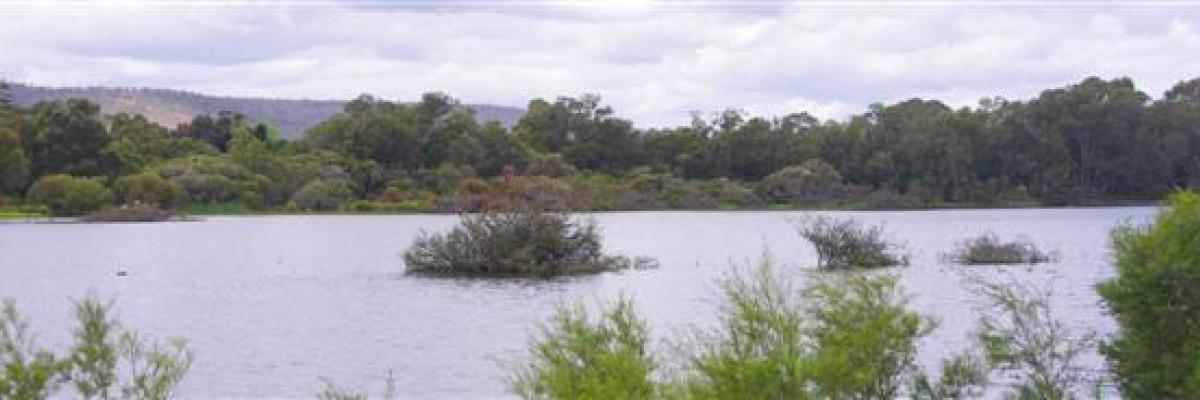 mary carroll park wetlands