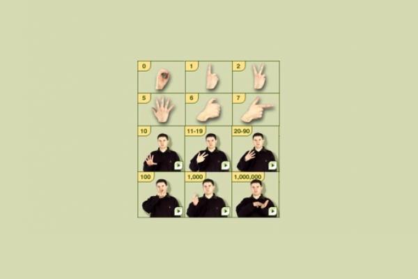 Some auslan numbers shown by a range of hands and a person signing