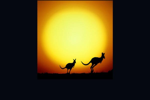 silhouette of two kangaroos in front of the sun