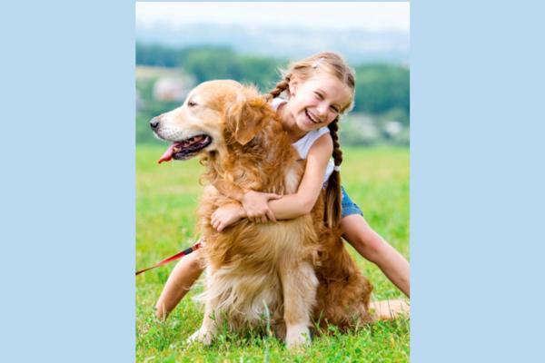 young girl hugging a golden retriever dog