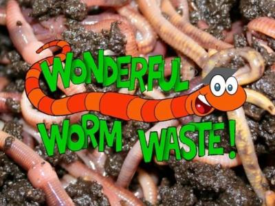 Wonderful Worm waste logo on top of an image of wriggly worms 