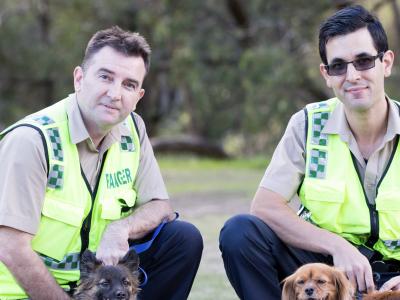 Pet registrations help the City’s Rangers to reunite lost pets with their owners faster