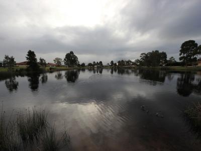 Spinifex Lake