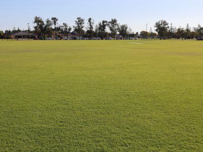 Canning Vale Oval