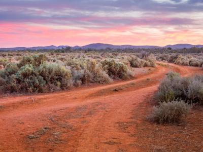 A red dirt road in the Australian outback, bordered by native Australian bushes