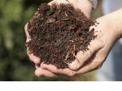 Person holding compost in their hands