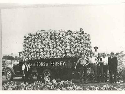 Packer and Sons, Hersey van